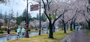 เคทีซี-องค์การส่งเสริมการท่องเที่ยวเกาหลี  ชี้เทรนด์ท่องเที่ยวสายสุขภาพมาแรง ดัน “Gyeongju Marathon” สำเร็จเกินคาด พร้อมต่อยอดสู่ฤดูใบไม้เปลี่ยนสี