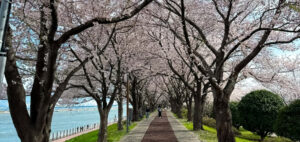 “พ็อตก็อต” ไม่ได้มีดีแค่ถ่ายรูป เทรนด์ “เที่ยวฮีลใจ” ดันเกาหลีขึ้นลิสต์ปลายทางยอดนิยม