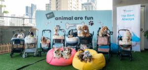 Animal Are Fun at Aloft Bangkok!  ชวนคนรักน้องหมาอิ่มอร่อยกับ Sunday Brunch & Bark ใจกลางสุขุมวิท พร้อมบุฟเฟต์สำหรับเพื่อนซี้สี่ขา  ณ ห้องอาหารเครฟ โรงแรม อลอฟท์ กรุงเทพ สุขุมวิท 11