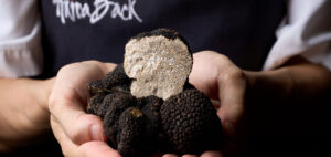 ร่วมสัมผัสเสน่ห์ของ “The Taste of Summer Truffles” ที่ห้องอาหาร อาคีรา แบค เรสเตอรองท์ แอนด์ บาร์   โรงแรม แบงค็อก แมริออท มาร์คีส์ ควีนส์ปาร์ค